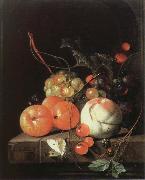Jan Davidz de Heem still life of fruit France oil painting artist